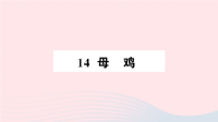 2020四年级语文下册第四单元14母鸡作业课件新人教版