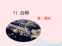 2020四年级语文下册第三单元11白桦课件新人教版