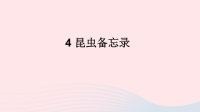 2020三年级语文下册第一单元4昆虫备忘录优质课件新人教版
