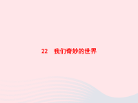 2020春三年级语文下册第七单元22我们奇妙的世界习题课件新人教版