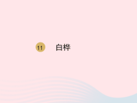 2020春四年级语文下册第三单元11白桦课件新人教版