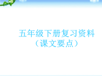 部编人教版五年级语文下册期末语文总复习课件
