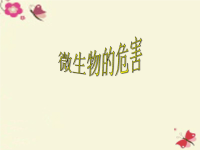 五年级科学下册5微生物的危害
