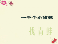 四年级科学下册8找青蛙