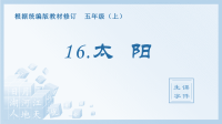 统编版五年级上（生字课件）16太阳