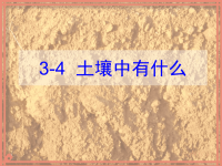 教科版五年级科学上册《土壤中有什么 》 (22)