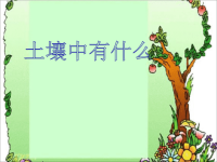 教科版五年级科学上册《土壤中有什么 》 (5)
