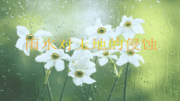 教科版五年级科学上册《雨水对土地的侵蚀 》 (1)