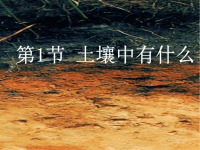 教科版五年级科学上册《土壤中有什么 》 (3)