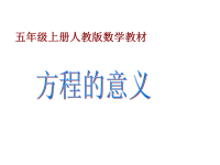 五年级数学上册课件-5方程的意义（人教版） (1)