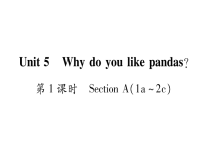 Why do you like pandas单元复习课件