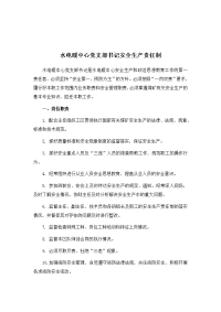 水电暖中心党支部书记安全生产责任制