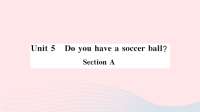 安徽省初中英语七年级上册Unit5DoyouhaveasoccerballSectionA小册子课件 人教新目标版