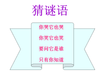 五年级上册科学课件-2照镜子