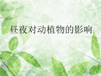 五年级上册科学课件-1昼夜对动植物的影响
