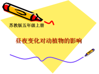 五年级上册科学课件-1昼夜对动植物的影响