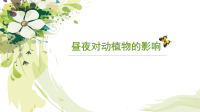 五年级上册科学课件-1昼夜对动植物的影响