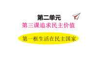 道德与法治部编版九年级上册同步课件3 第一框生活在民主国家