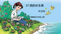 部编版五年级上册语文课件27.我的长生果