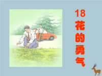 2018_2019学年四年级语文下册第五组18花的勇气教学课件新人教版