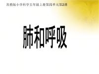 五年级上册科学课件-4肺和呼吸