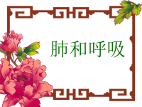 五年级上册科学课件-4肺和呼吸
