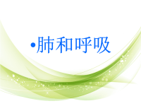 五年级上册科学课件-4肺和呼吸