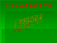 青岛小学科学四下《11 潜望镜的秘密》PPT课件 5