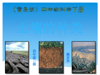 青岛小学科学三下《11 土壤的种类 》PPT课件 (1)