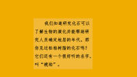 四年级下语文课件四年级下册语文课件-5 琥珀 部编版(共38张PPT)_人教版（2016部编版）