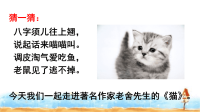 四年级下语文课件人教统编版四下语文-13 猫   课件_人教版（2016部编版）