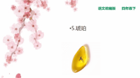 四年级下语文课件人教统编版四下语文-5琥珀  第2课时课件_人教版（2016部编版）