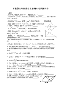 苏教版九年级数学上册期末考试测试卷