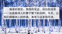 部编版语文四年级下册《11 白桦》课件