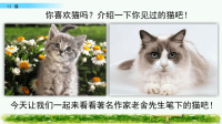 部编版语文四年级下册《13 猫》课件