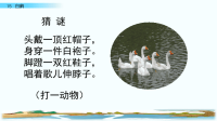 四年级下语文课件（推荐）部编四语下册 15 白鹅 优秀课件_人教版（2016部编版）