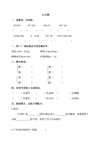 四年级下语文一课一练一课一练--11-白桦 人教部编版（含答案）