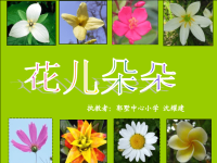 苏教小学美术二下《6花儿朵朵（一）》PPT课件 (3)