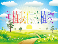 教科版三年级下册科学《种植我们的植物》课件 (2)