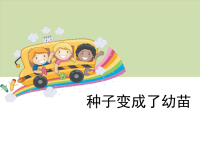 教科版三年级下册科学《种子变成了幼苗》课件