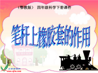 鄂教版小学科学四下优质公开课《9橡胶套的作用