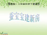 鄂教版小学科学三下《8蚕宝宝建新房四