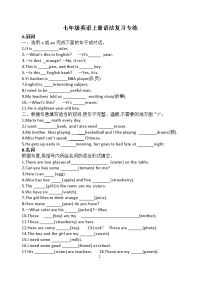 人教新目标版七年级英语上册语法复习题