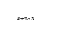 三年级下册语文课件-8池子与河流  部编版(共23张PPT)