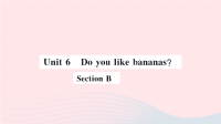 安徽省初中英语七年级上册Unit6DoyoulikebananasSectionB小册子课件 人教新目标版