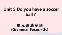 安徽省初中英语七年级上册Unit5Doyouhaveasoccerball单元语法专项课件 人教新目标版