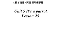 三年级下册英语课件-Unit5 It’s a parrot