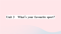 eUnit3Whatsyourfavouritesport作业课件  外研版
