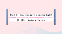 初中英语七年级上册Unit5Doyouhaveasoccerball第一课时课件 人教新目标版