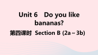 江西省初中英语七年级上册Unit6Doyoulikebananas第四课时课件 人教新目标版